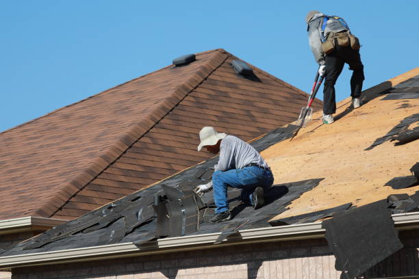 Best Roof Insulation Installation  in Egypt Lake Leto, FL